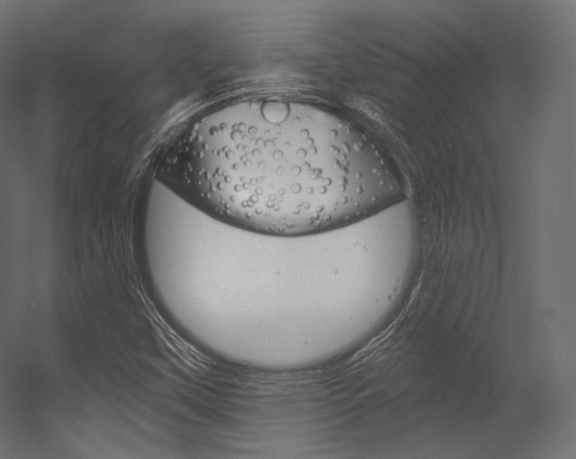 X0000054381451200507290844