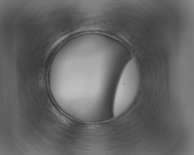 X0000054381452200507290844