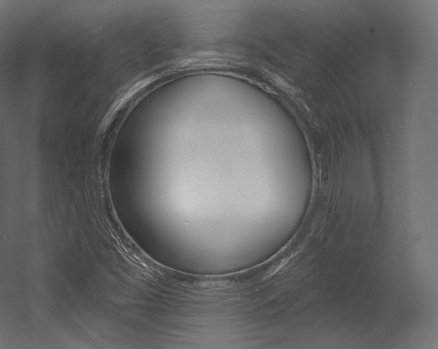 X0000054381453200507290844