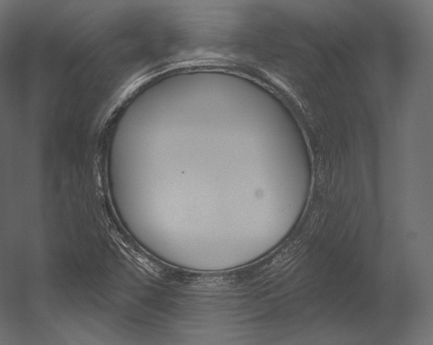 X0000054381455200507290844