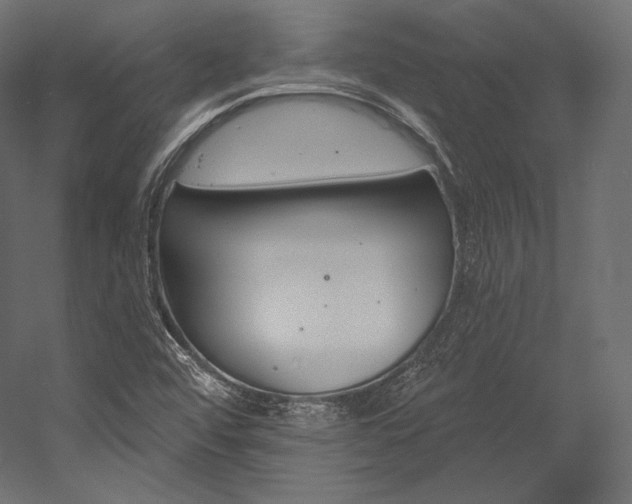 X0000054381456200507290844