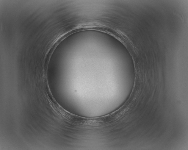 X0000054381457200507290844