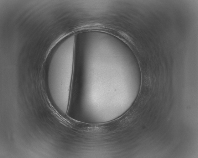 X0000054381458200507290844