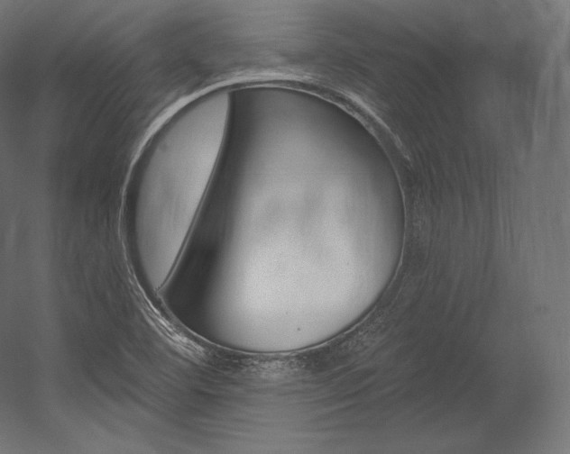 X0000054381460200507290844