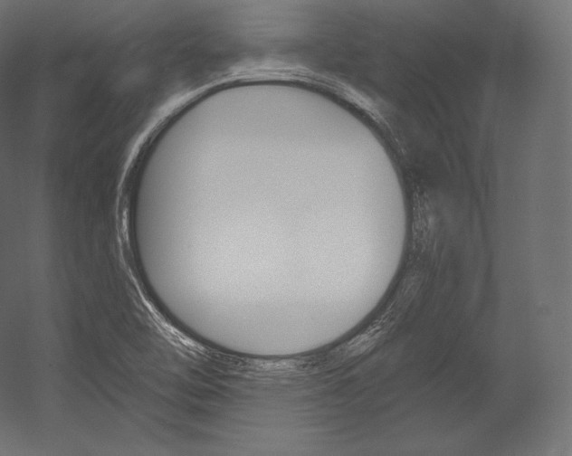 X0000054381462200507290844
