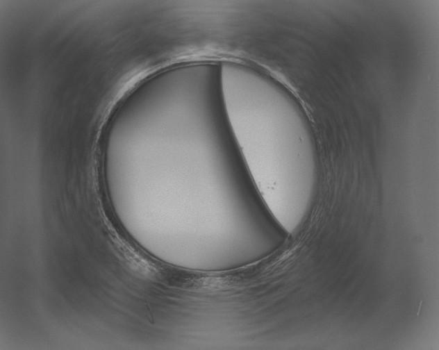 X0000054381463200507290844