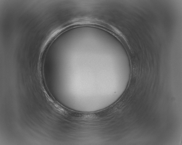 X0000054381464200507290844
