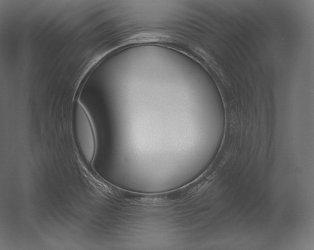 X0000054381465200507290844