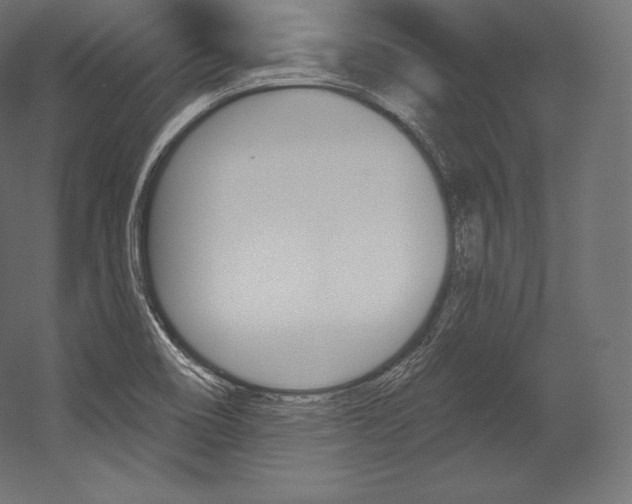 X0000054381466200507290844