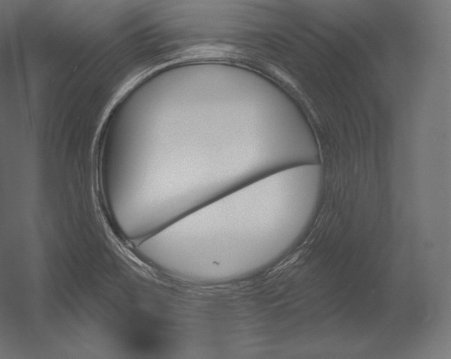 X0000054381467200507290844