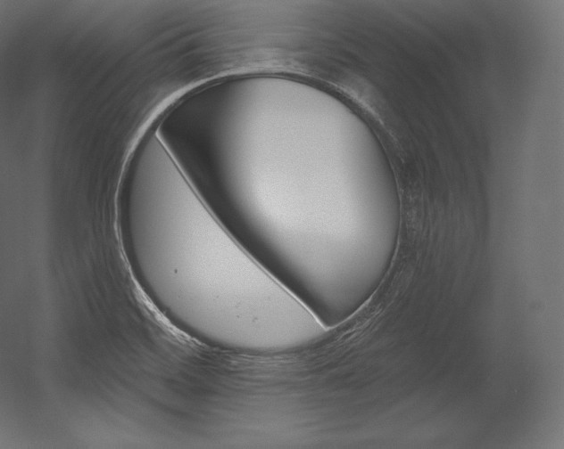 X0000054381468200507290844