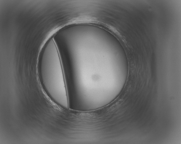 X0000054381469200507290844