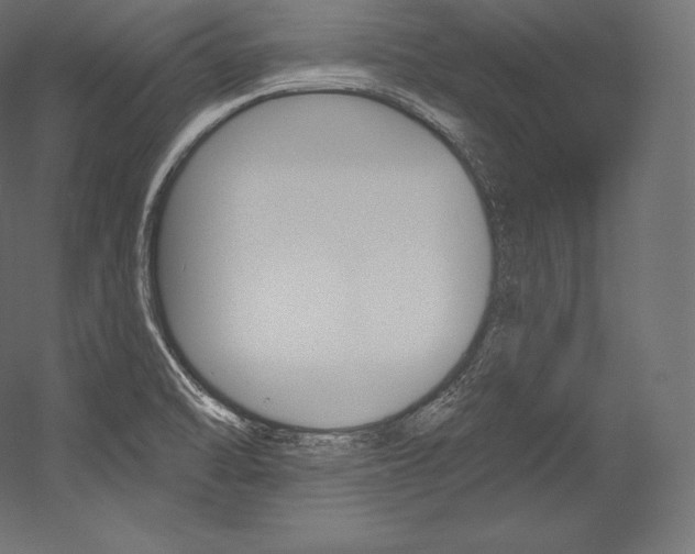 X0000054381470200507290844