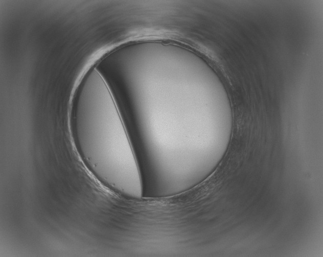 X0000054381472200507290844