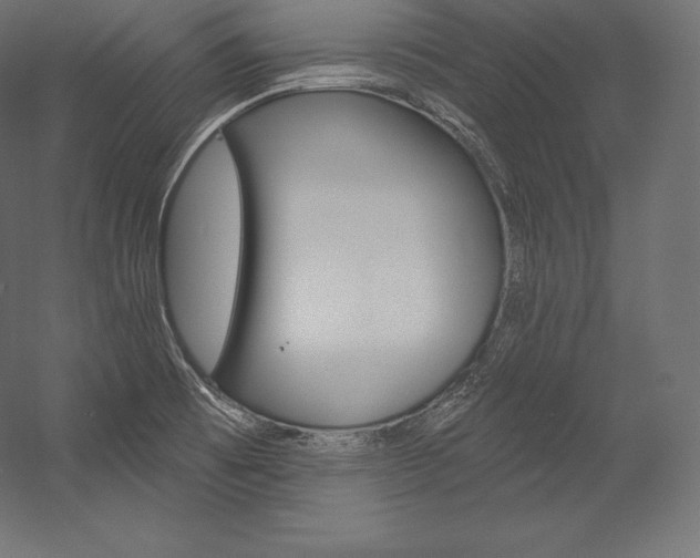 X0000054381473200507290844