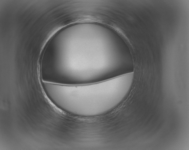 X0000054381476200507290844