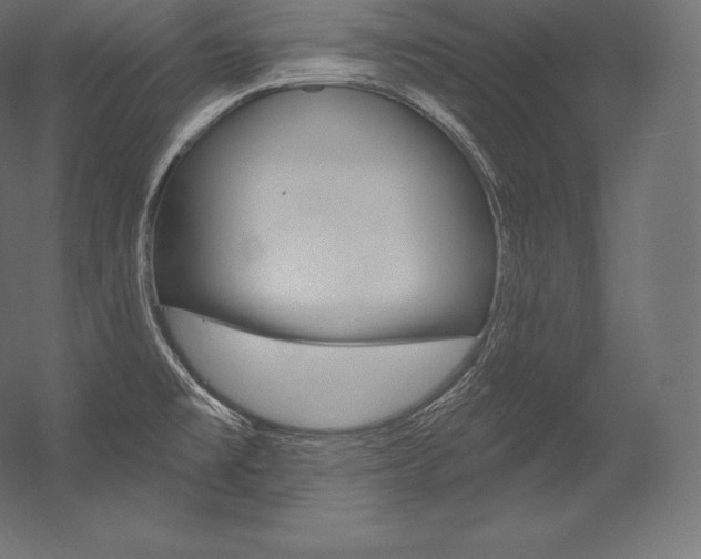 X0000054381477200507290844