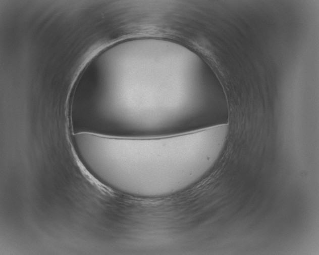 X0000054381479200507290844