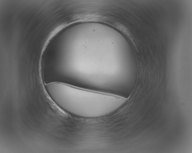 X0000054381480200507290844