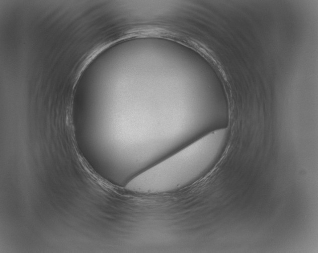 X0000054381481200507290844