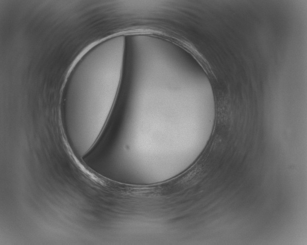 X0000054381484200507290844