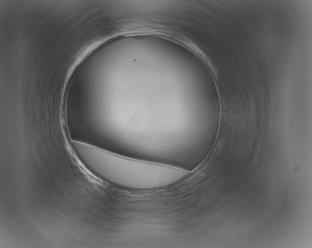 X0000054381485200507290844