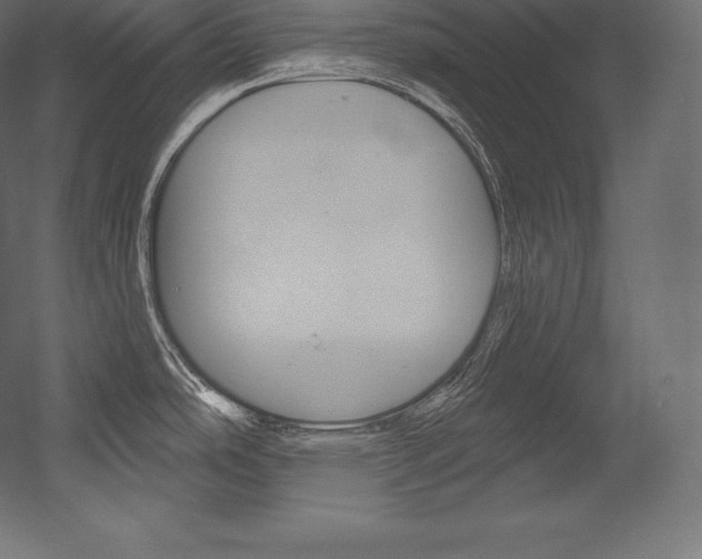 X0000054381486200507290844