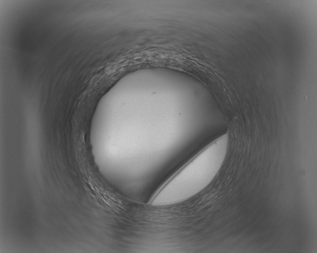 X0000054381489200507290843