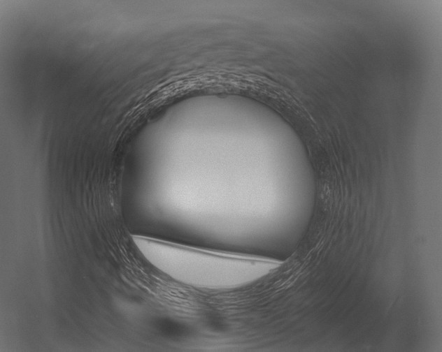 X0000054381490200507290843