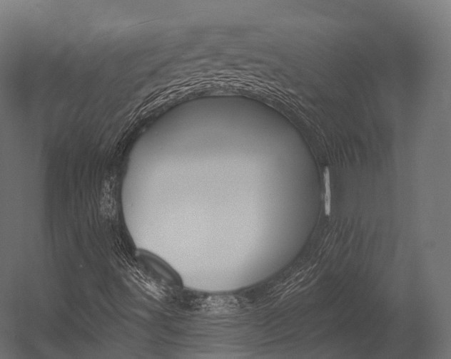 X0000054381491200507290843