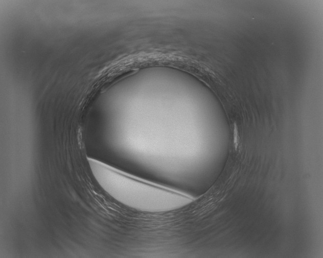 X0000054381492200507290843