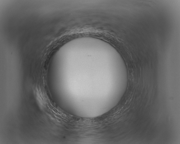 X0000054381493200507290843