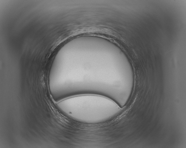 X0000054381497200507290843