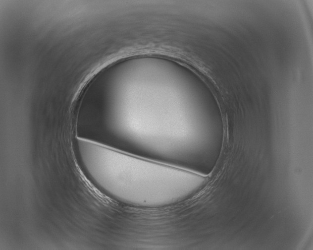 X0000054381500200507290843