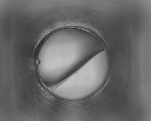 X0000054381501200507290843