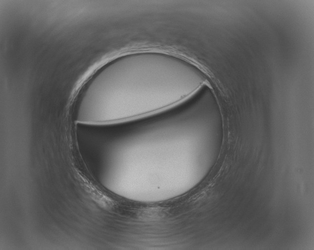 X0000054381502200507290843