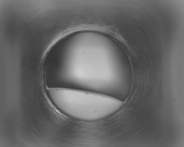 X0000054381504200507290843