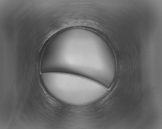 X0000054381505200507290843
