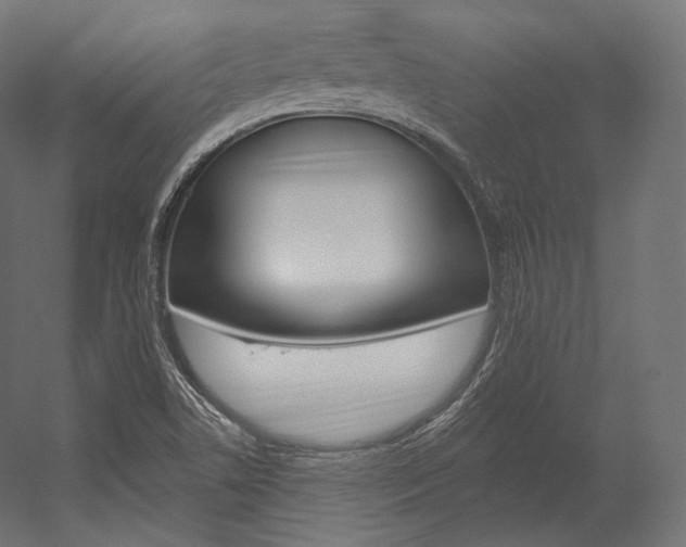 X0000054381506200507290843