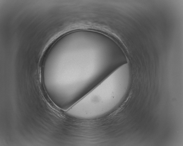 X0000054381509200507290843
