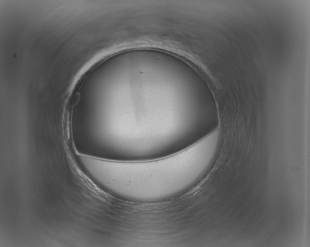 X0000054381510200507290843