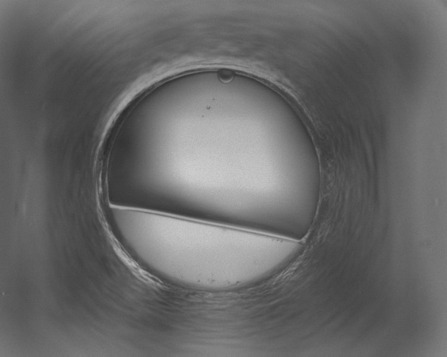 X0000054381511200507290843