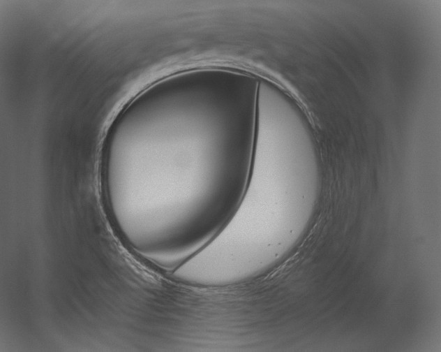 X0000054381512200507290843