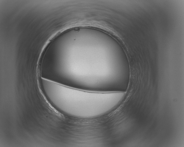 X0000054381517200507290843