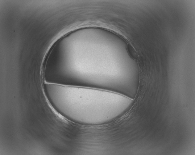 X0000054381519200507290843