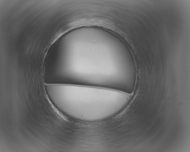 X0000054381521200507290843