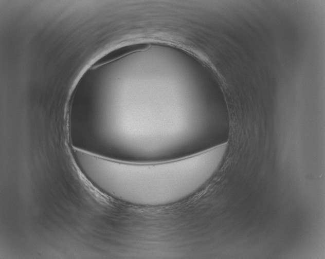 X0000054381524200507290843