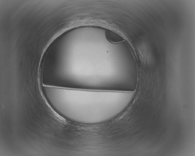 X0000054381525200507290844