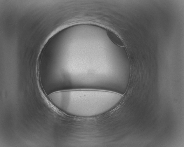 X0000054381526200507290844