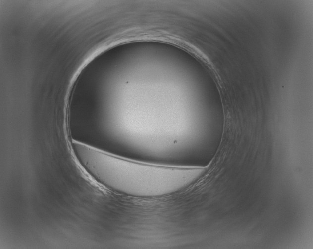 X0000054381528200507290844